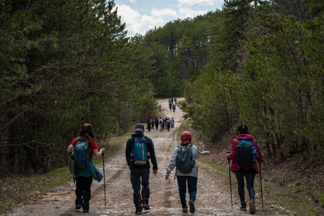 people hiking